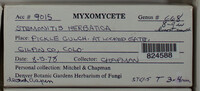 Image Associated With the Occurence